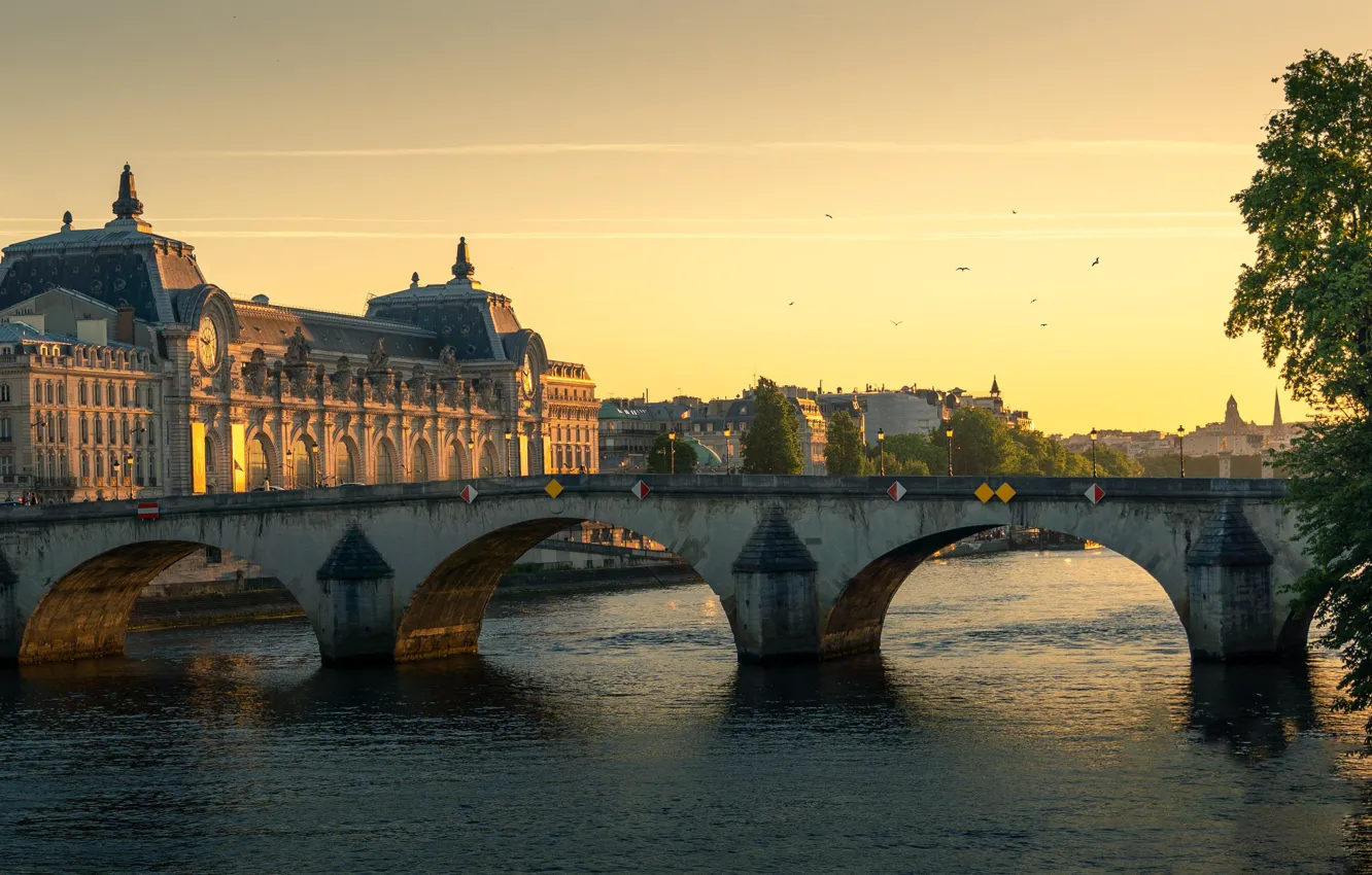 Photo wallpaper the sky, light, trees, bridge, the city, dawn, bird, France