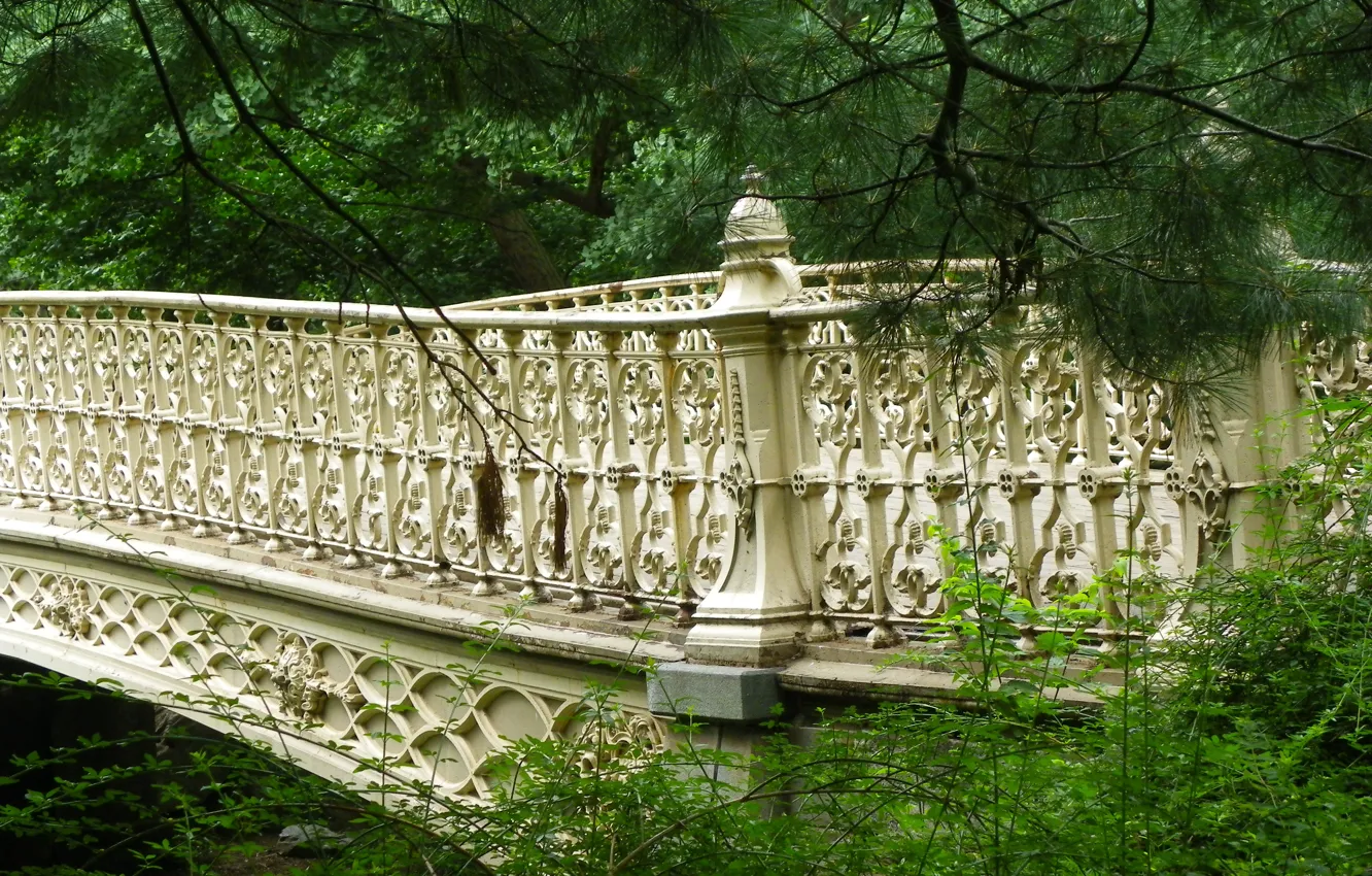 Photo wallpaper bridge, New York, bridge, New York, Central Park, Central park