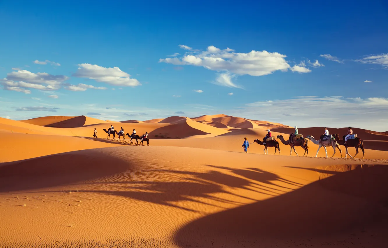 Photo wallpaper sand, the sky, clouds, desert, shadows, caravan, shipping Aliexpress