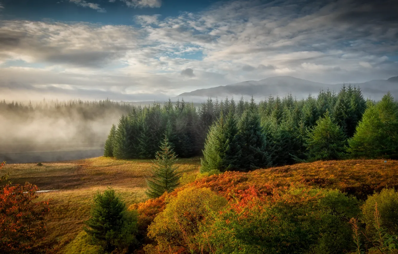 Photo wallpaper autumn, fog, river
