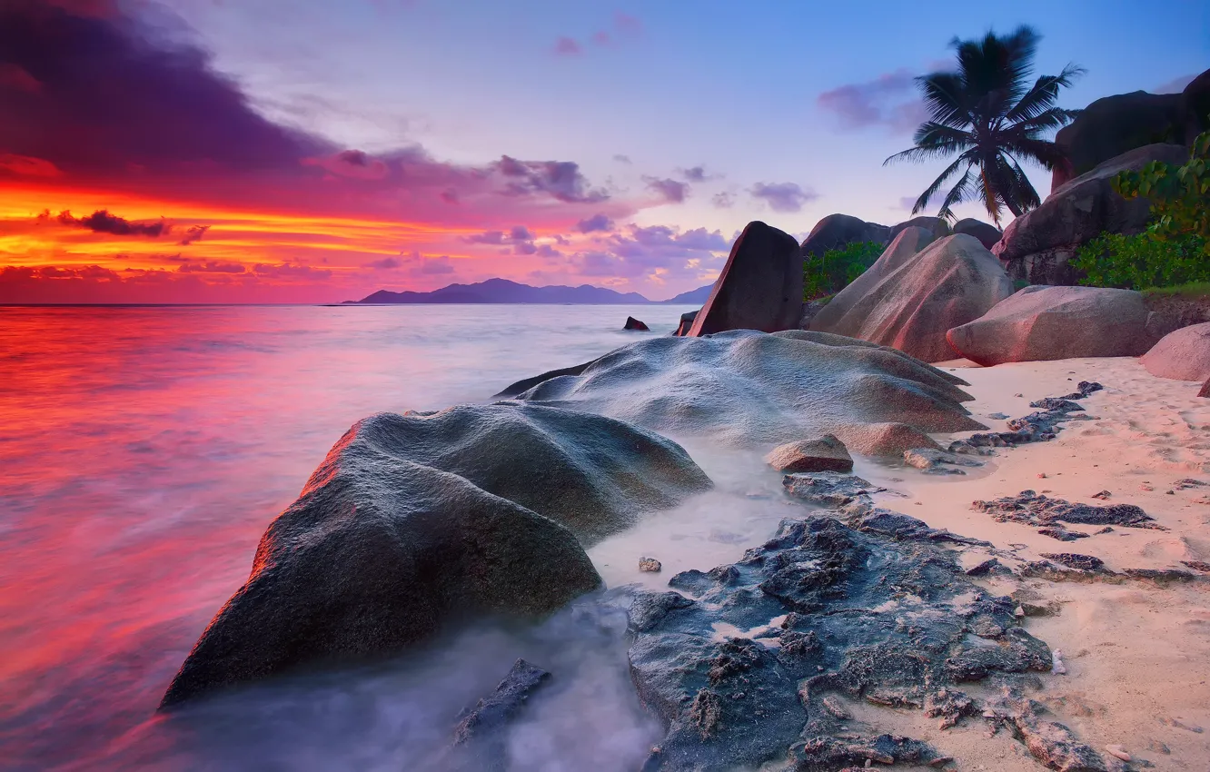 Photo wallpaper sea, beach, the sky, water, clouds, trees, stones, palm trees