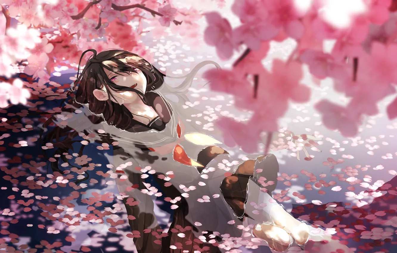 Photo wallpaper water, Sakura, schoolgirl