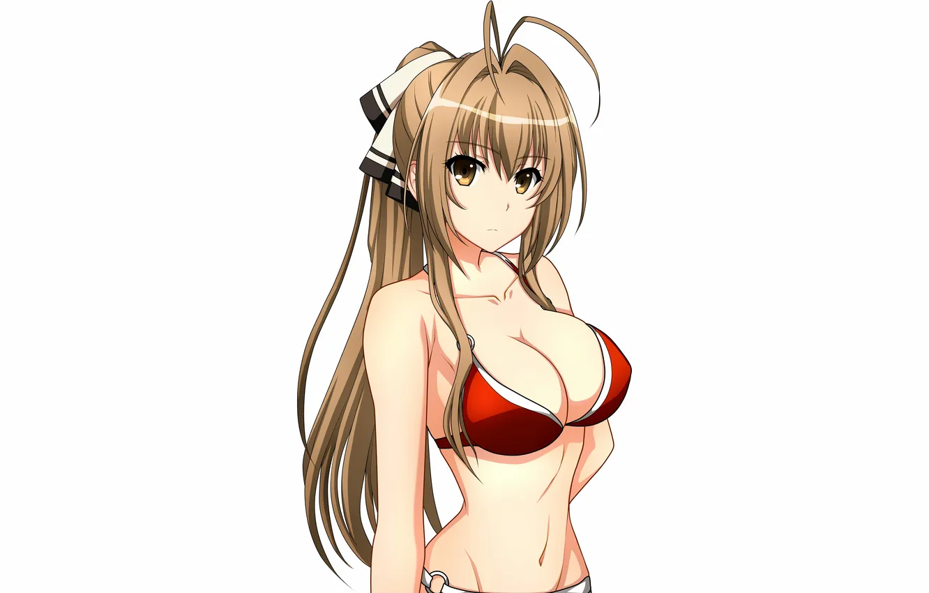 Photo wallpaper girl, sexy, cleavage, long hair, boobs, anime, beautiful, ponytail