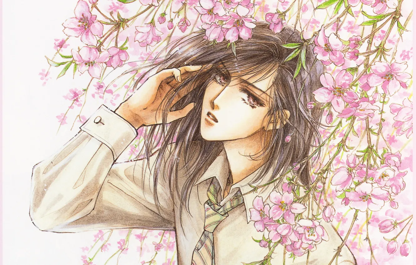 Photo wallpaper manga, Platonic Dance, Mamiya Oki, long hair, flowering, art, sight, Sakura