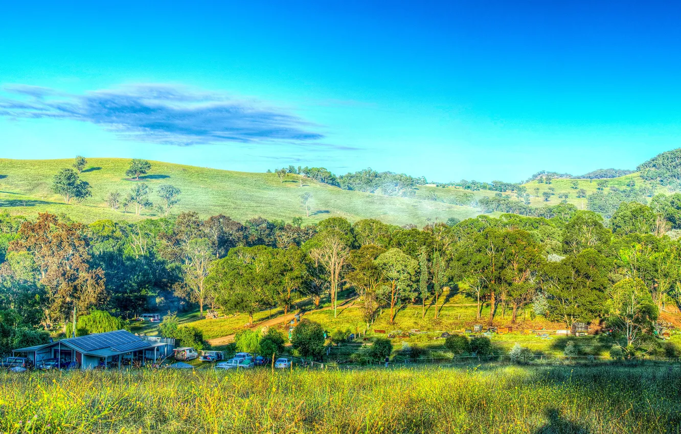 Photo wallpaper greens, the sky, grass, the sun, clouds, trees, hills, HDR