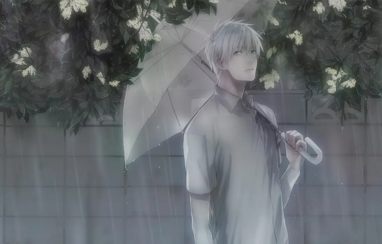 Photo wallpaper flowers, rain, umbrella, guy, Kuroko's basketball, Kuroko Tetsuya, Kuroko from Basket