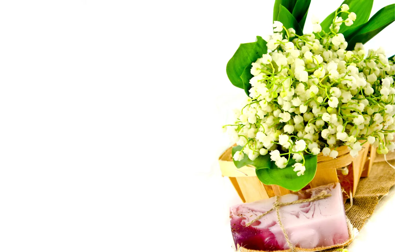 Photo wallpaper soap, lilies of the valley, Spa