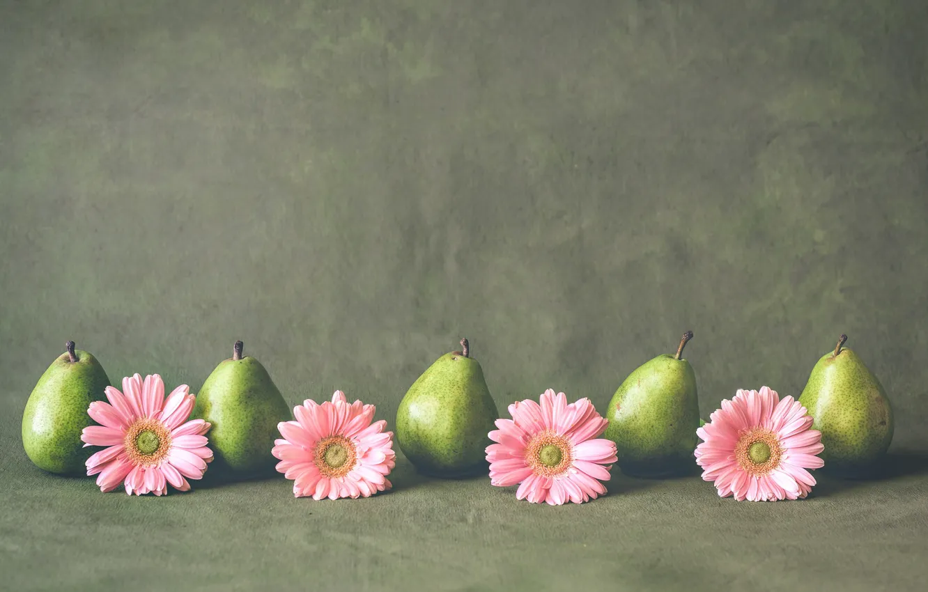 Photo wallpaper fruit, gerbera, pear
