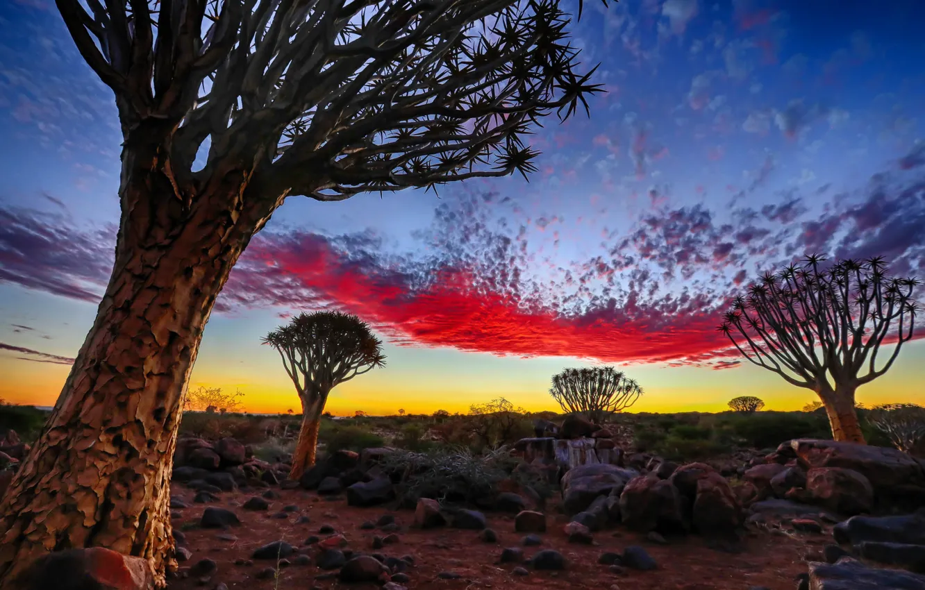 Photo wallpaper Sky, Namibia, Pallette, Keetmanshoop