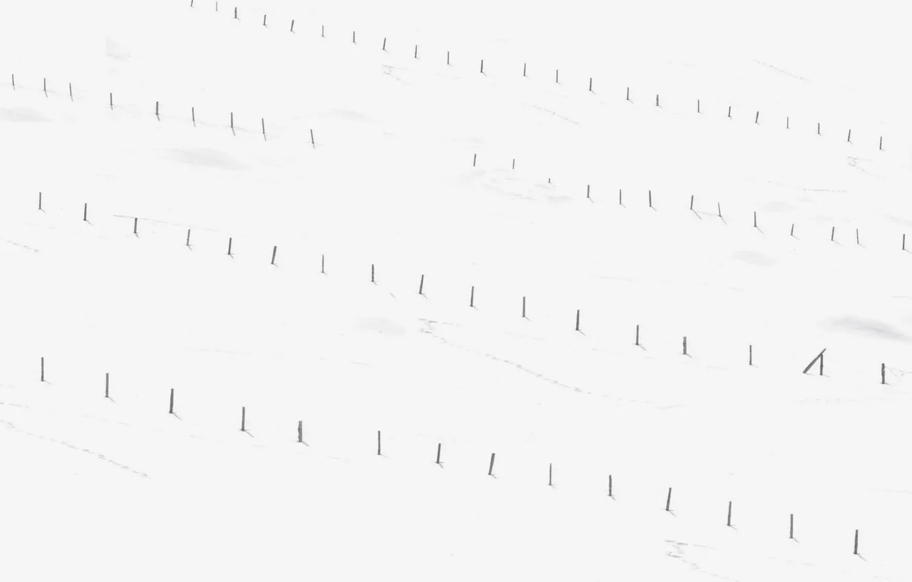 Photo wallpaper field, the fence, people