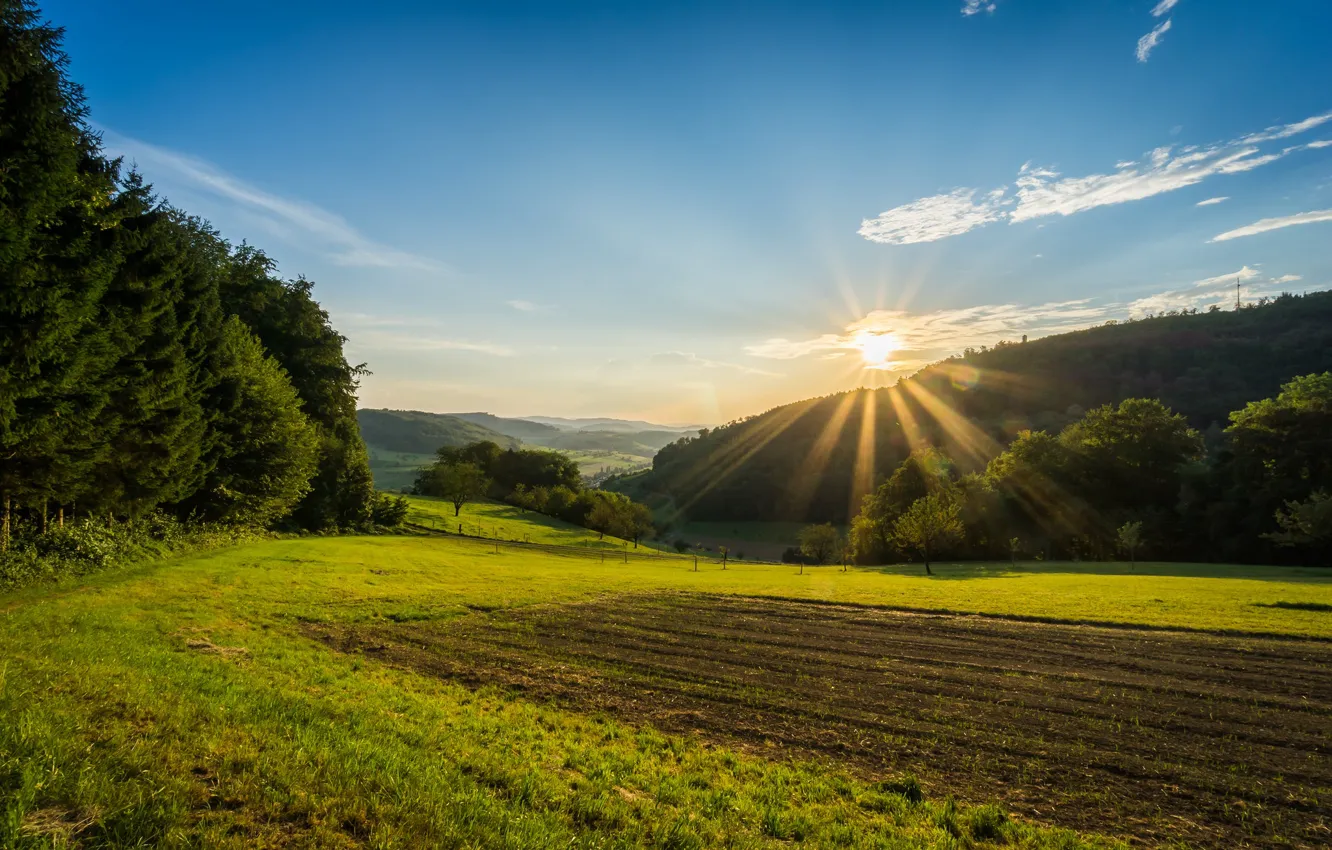 Photo wallpaper field, forest, the sky, the sun, rays, valley