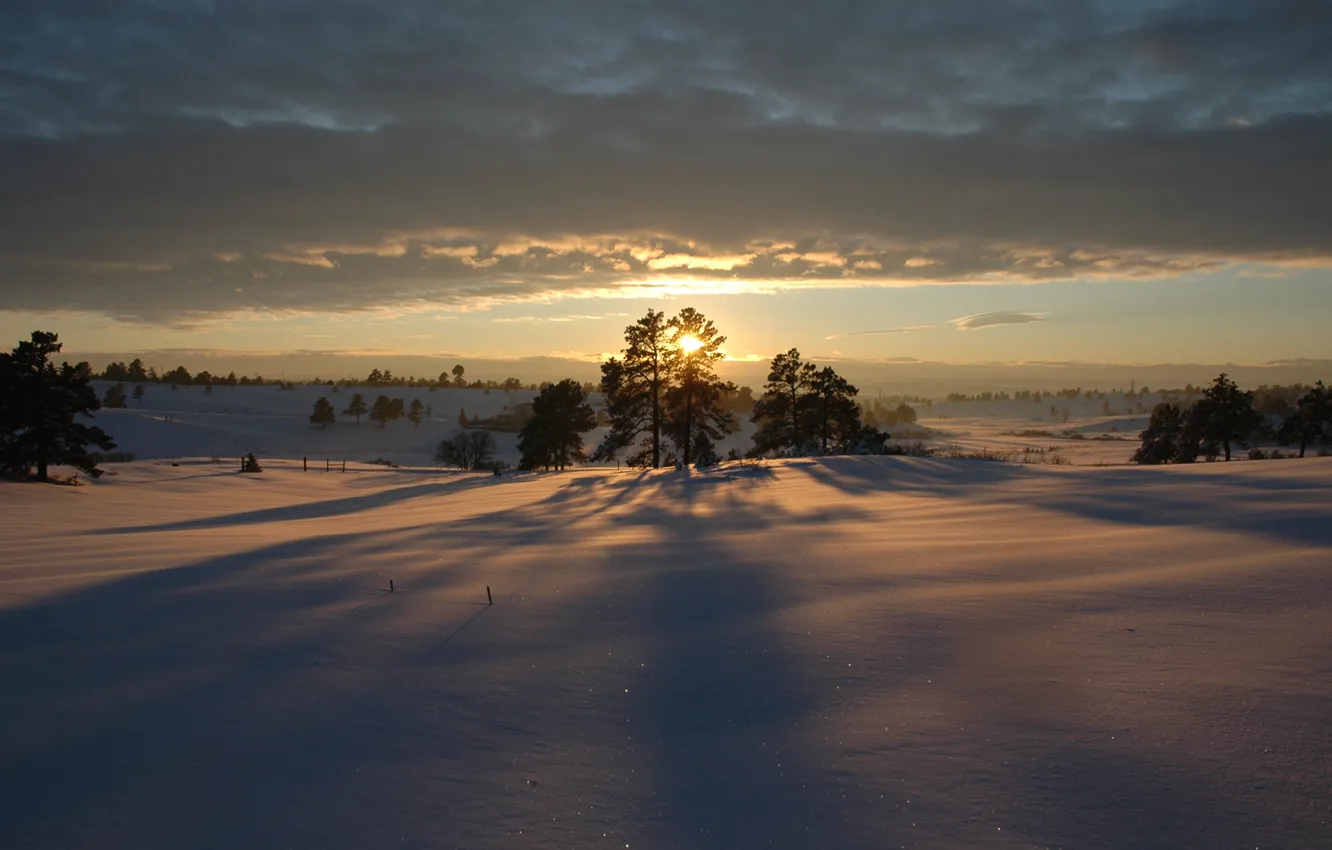 Photo wallpaper snow, trees, sunset, Winter
