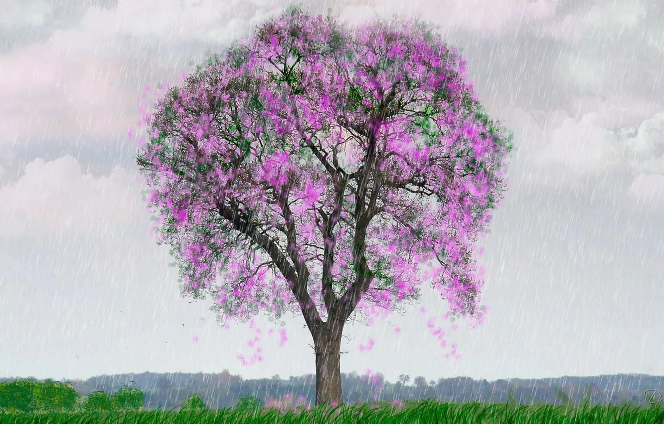 Photo wallpaper rain, tree, spring, art