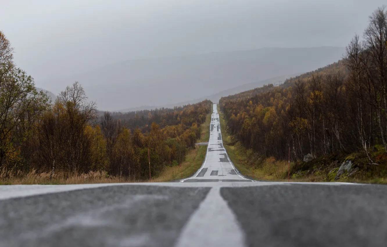 Photo wallpaper road, mountains, fog, power lines, rainy