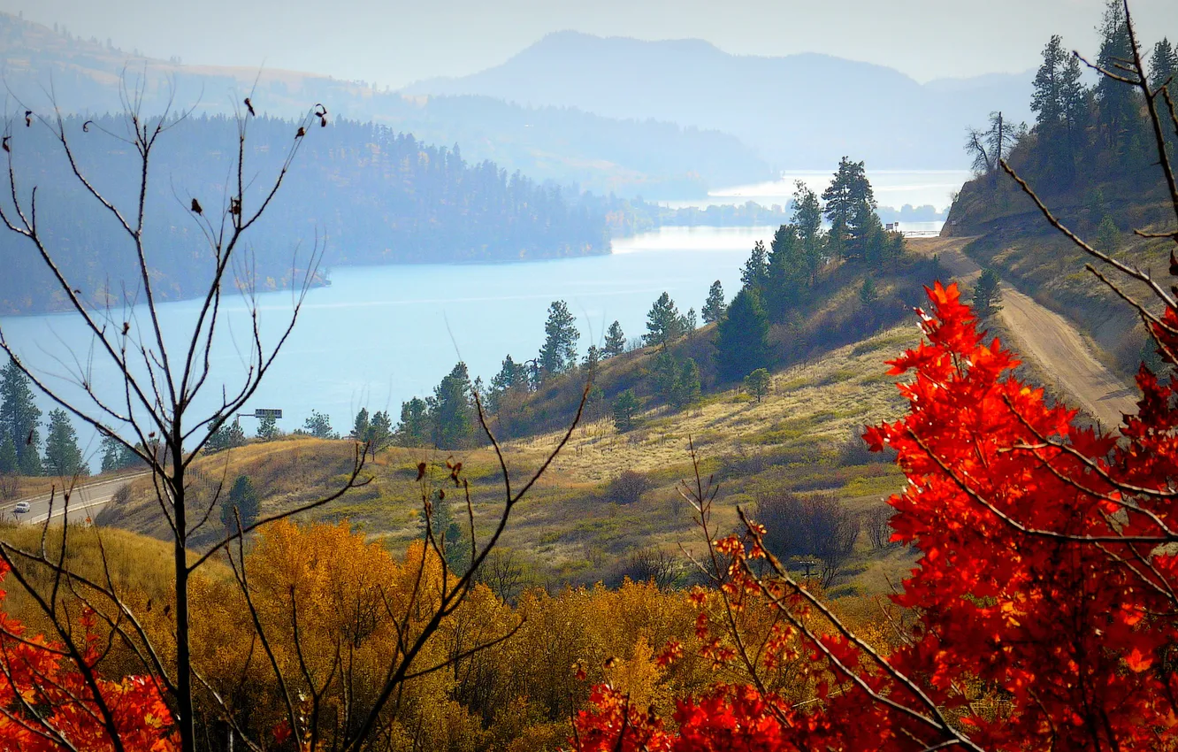 Photo wallpaper road, autumn, the sky, trees, mountains, lake, branch