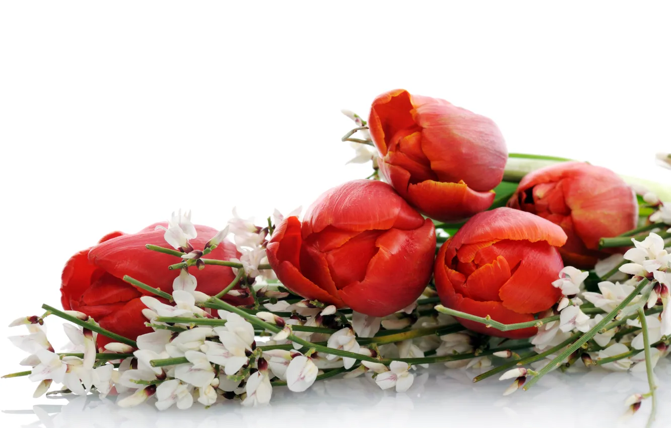 Photo wallpaper flowers, bouquet, tulips