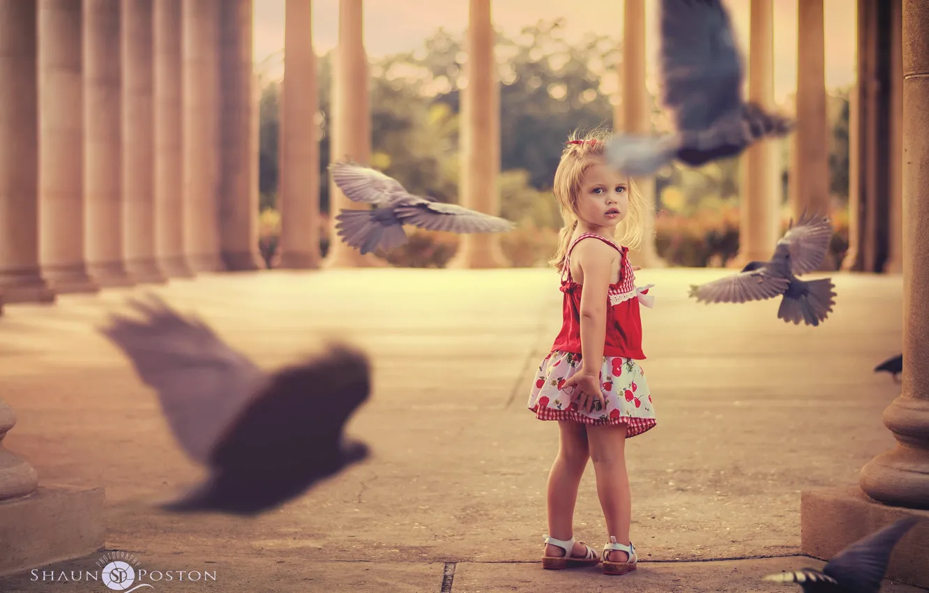 Photo wallpaper bird, street, girl