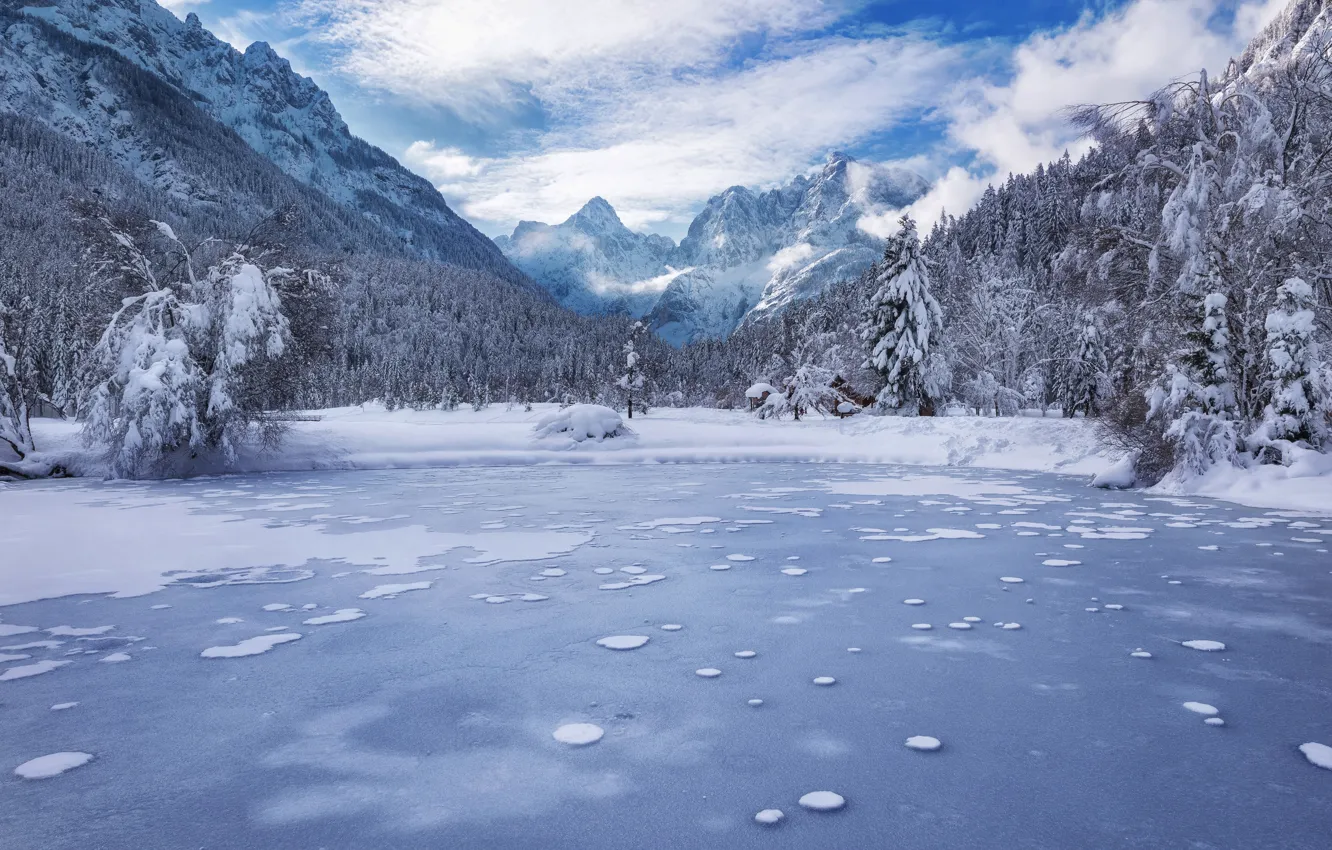 Photo wallpaper winter, forest, mountains, lake, Slovenia, Slovenia, Kranjska Gora, Lake Jasna