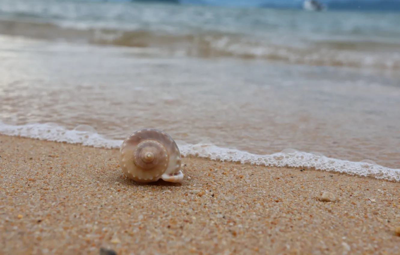 Photo wallpaper sand, sea, wave, beach, summer, shell, summer, beach