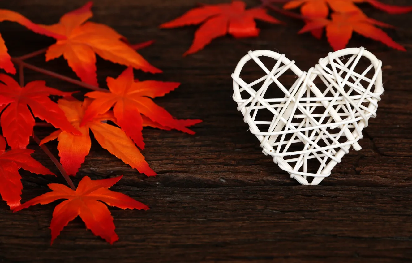 Photo wallpaper autumn, leaves, love, background, tree, heart, Board, colorful