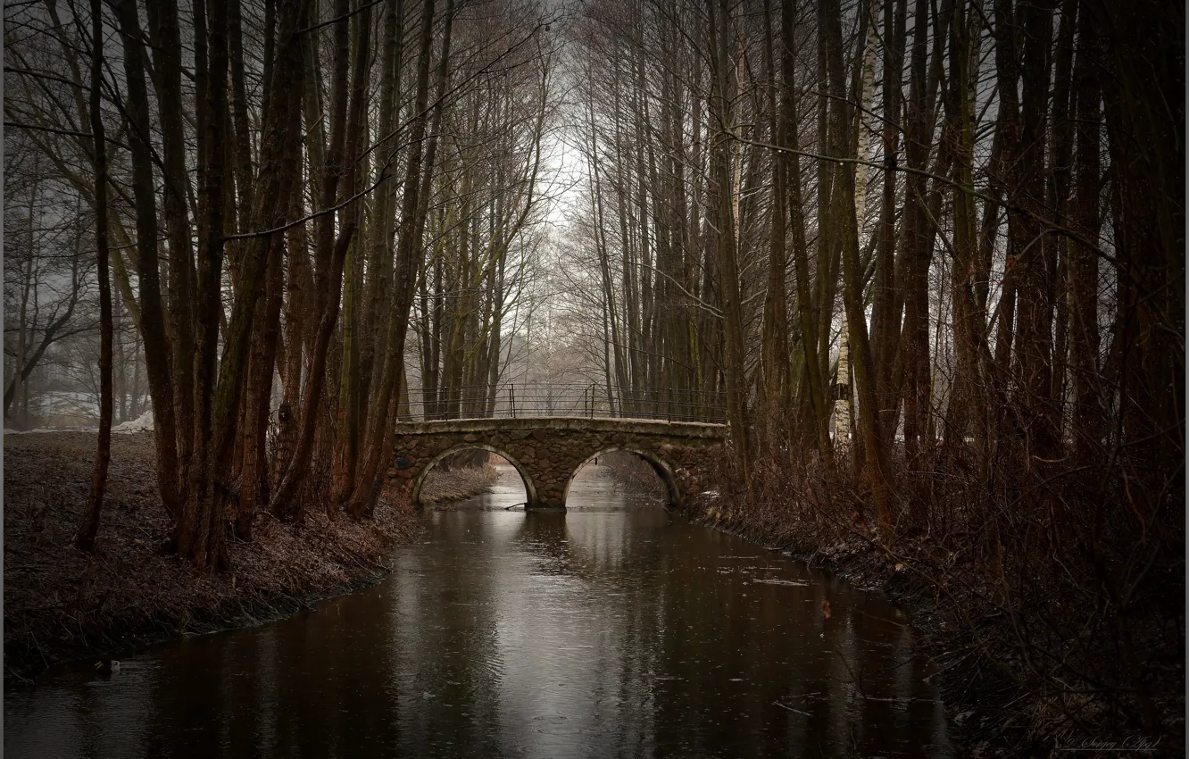 Photo wallpaper autumn, bridge, Park, river