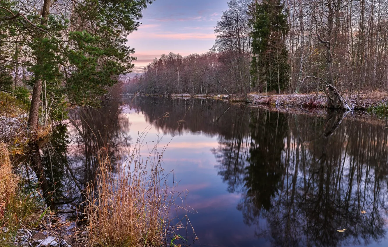 Photo wallpaper autumn, forest, lake