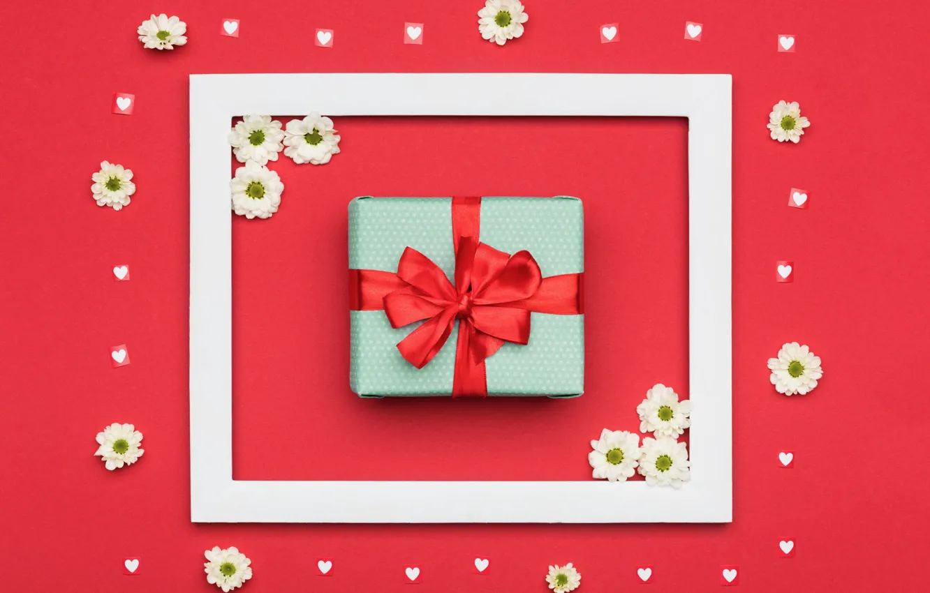 Photo wallpaper flowers, red, squares, background, holiday, box, gift, color
