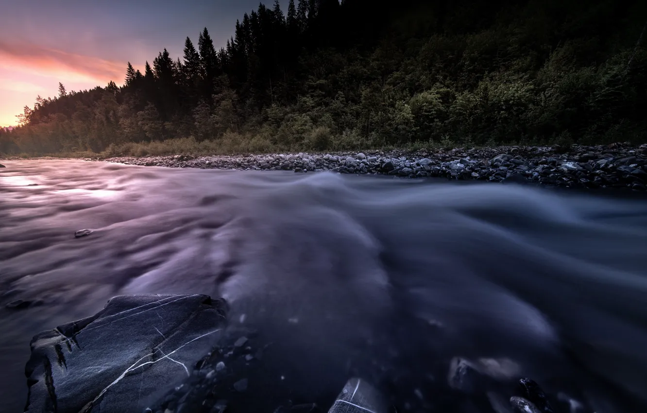 Photo wallpaper forest, sunset, river