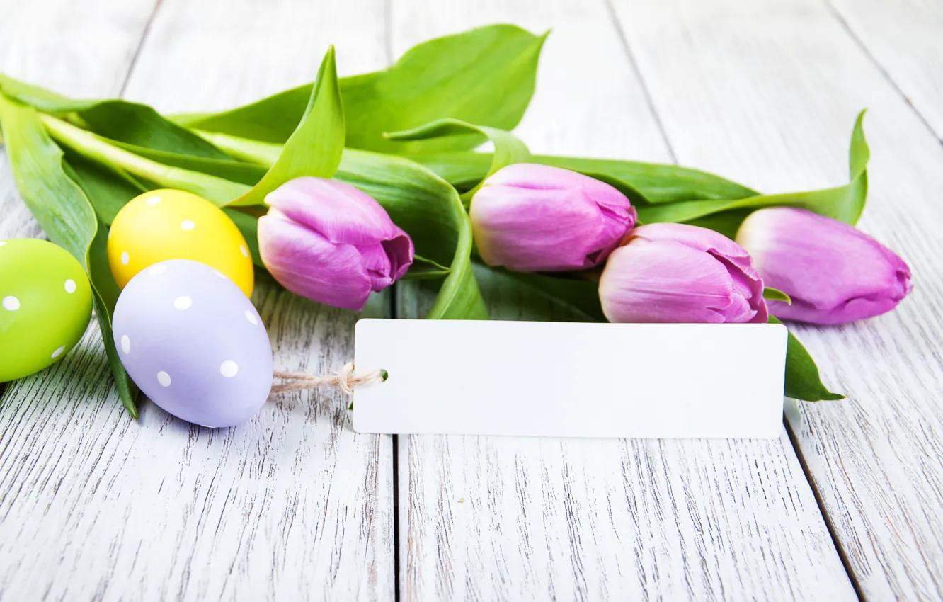 Photo wallpaper flowers, Easter, tulips, flowers, tulips, Easter, purple, eggs