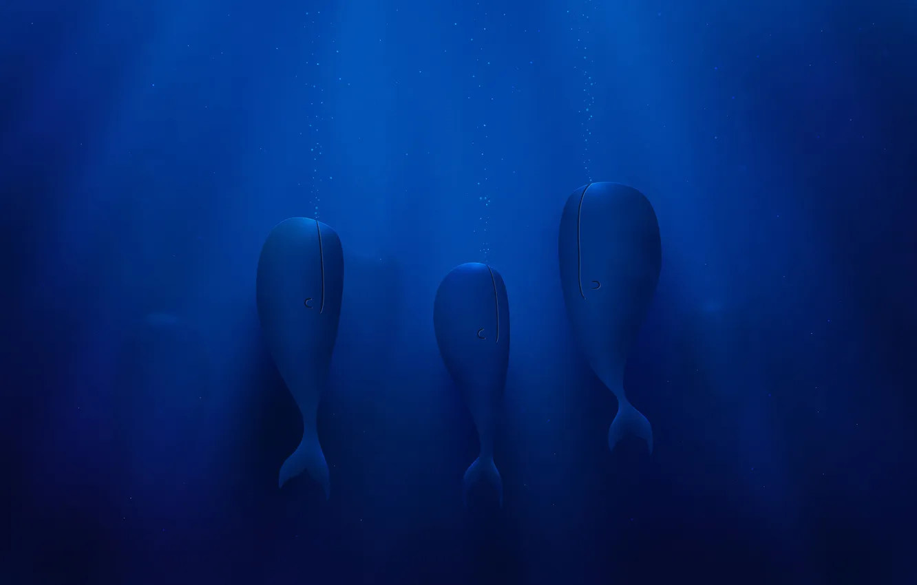 Photo wallpaper the ocean, kit, vladstudio