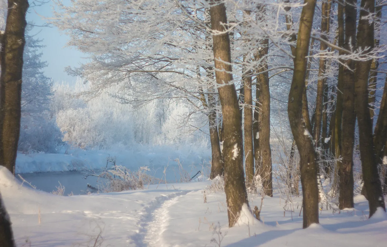 Photo wallpaper winter, river, frost
