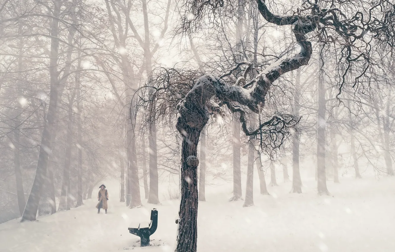 Photo wallpaper winter, snow, tree, people, bench