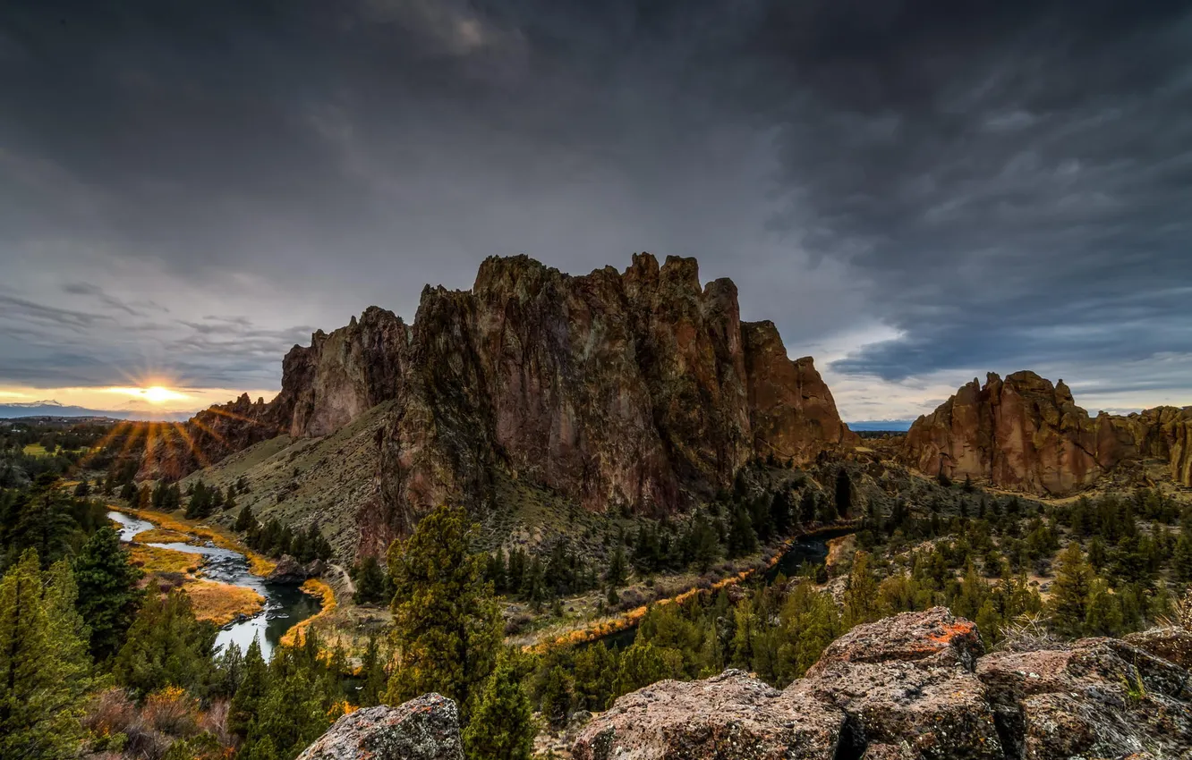 Photo wallpaper forest, mountains, nature, river, view, panorama