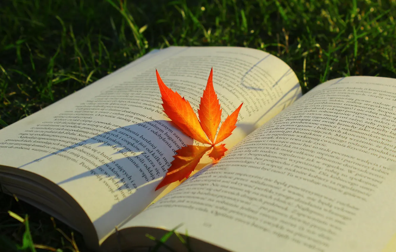Photo wallpaper red, autumn, book, leaf