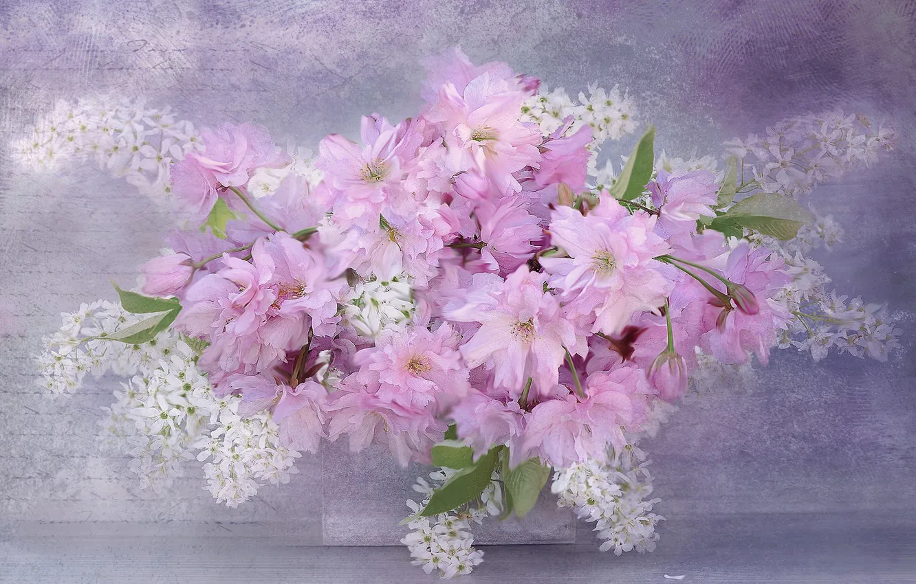 Photo wallpaper flowers, Sakura, cherry