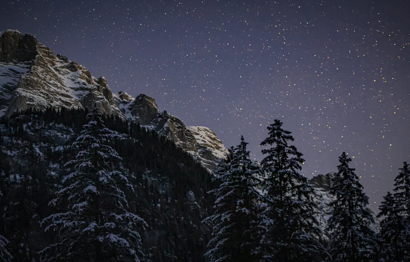Photo wallpaper winter, the sky, stars, snow, trees, mountains, night, nature