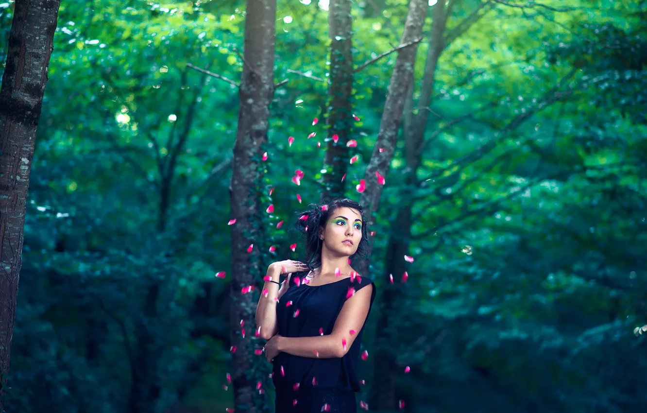 Photo wallpaper forest, girl, makeup, petals, placer