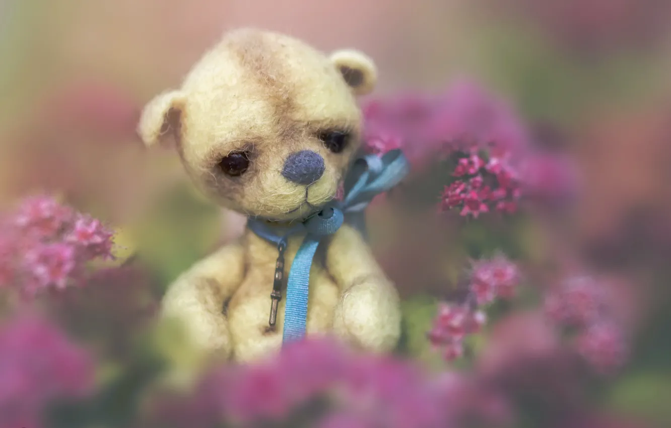 Photo wallpaper background, toy, bear