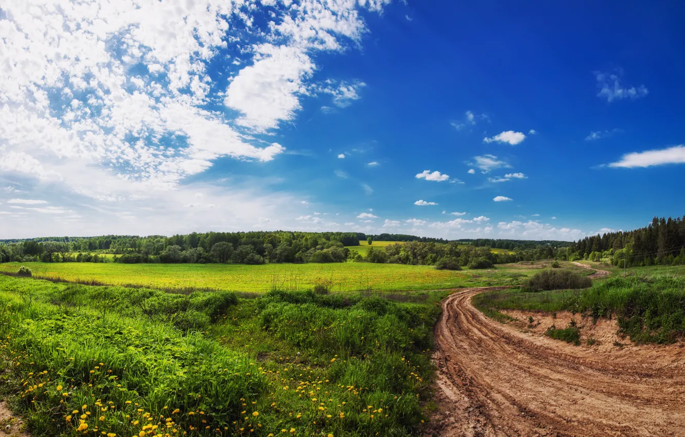 Photo wallpaper greens, field, summer, the sky, nature, track, summer, sky