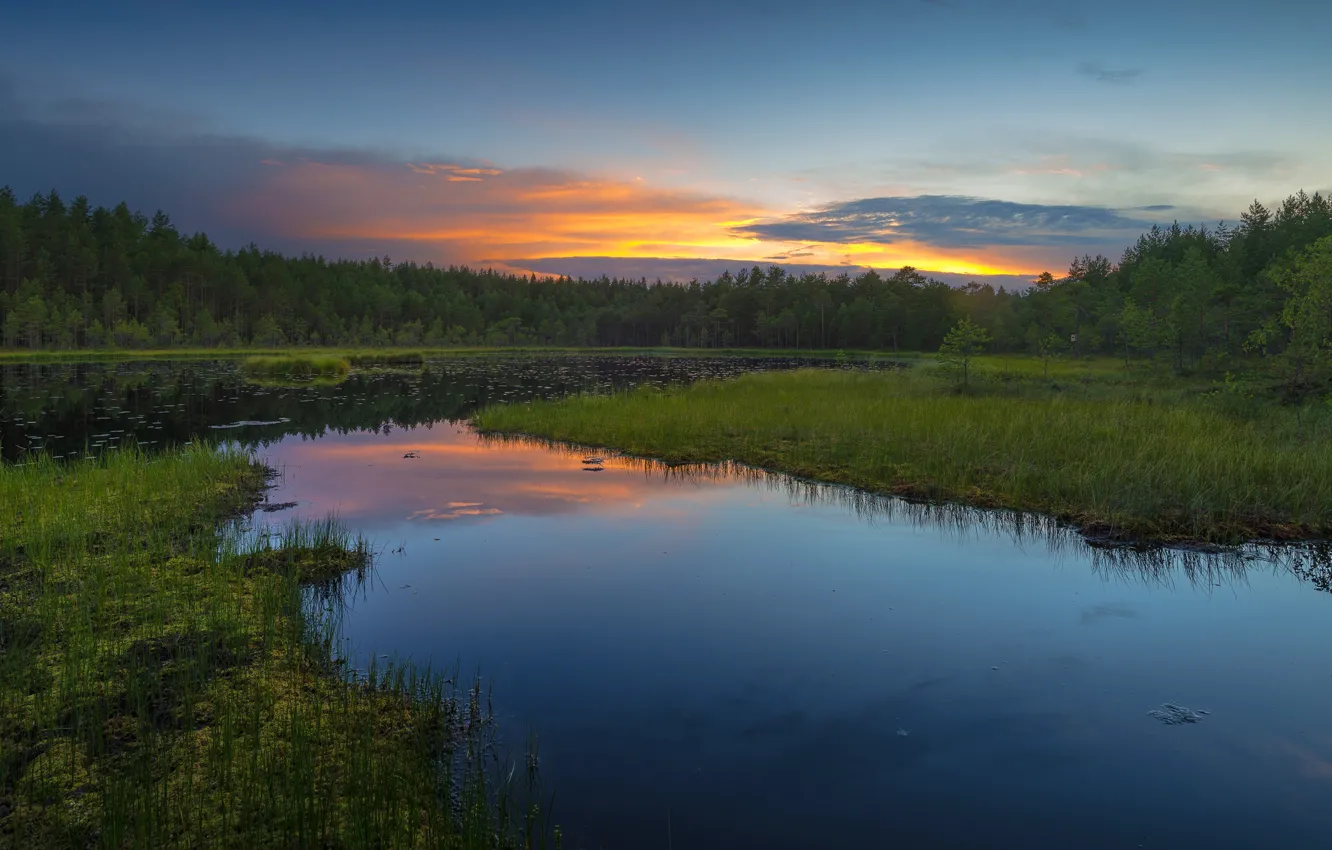 Photo wallpaper forest, the sky, grass, clouds, landscape, sunset, nature, reflection