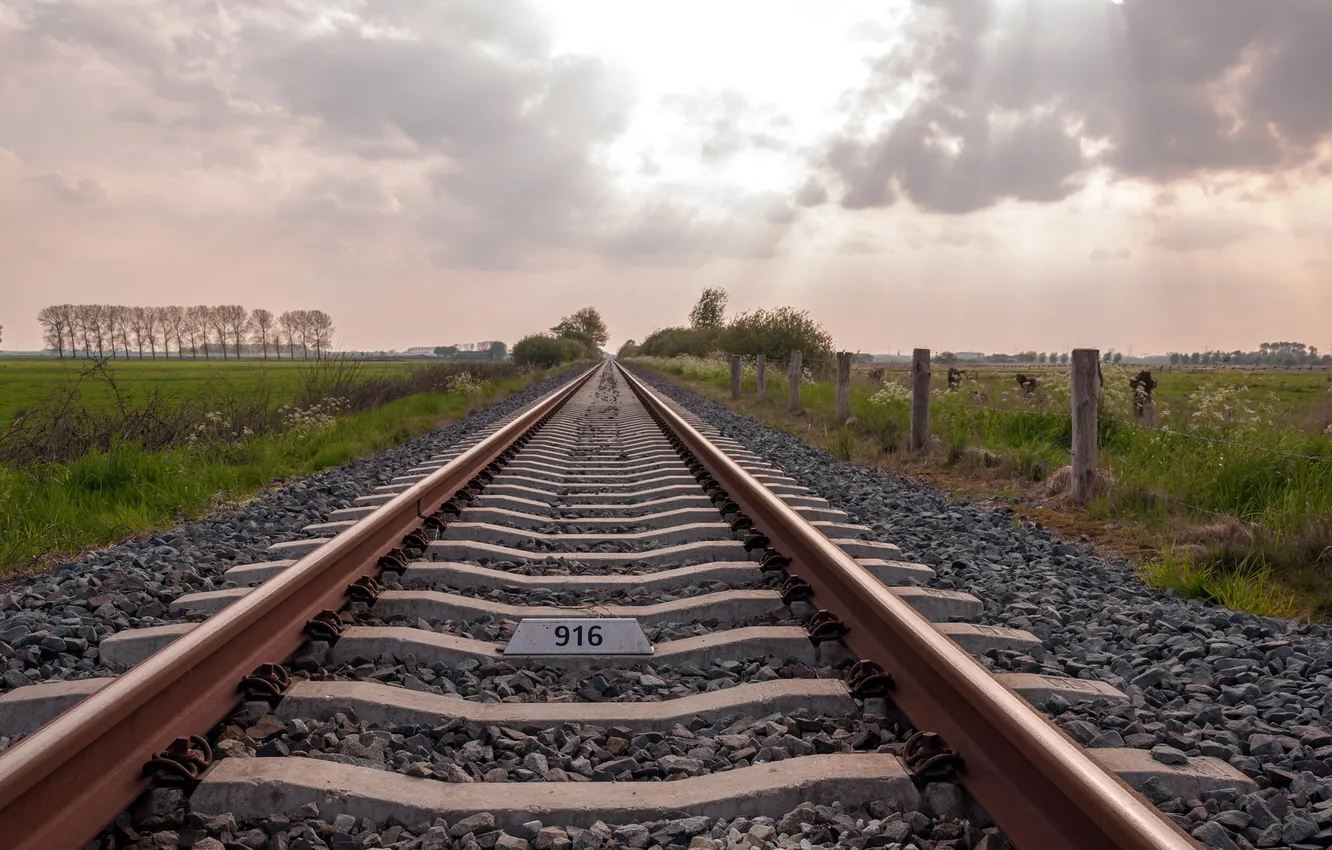 Photo wallpaper road, field, landscape