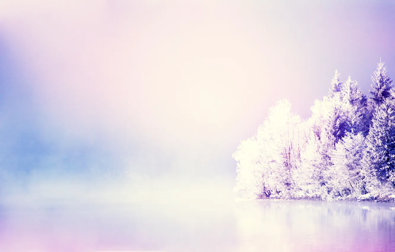 Photo wallpaper cold, winter, snow, trees, lake