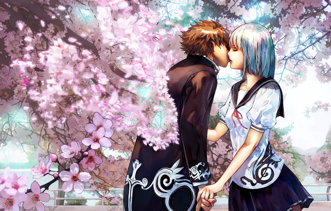 Photo wallpaper kiss, pair, lovers, cherry blossoms, Cherry kiss