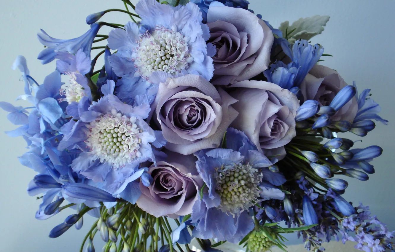 Photo wallpaper flower, flowers, roses, bouquet, field, beautiful, lilac