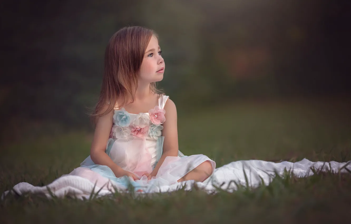 Photo wallpaper dress, girl, weed, sitting