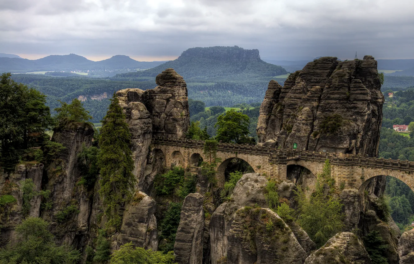 Photo wallpaper forest, mountains, bridge, rocks, Germany, national Park