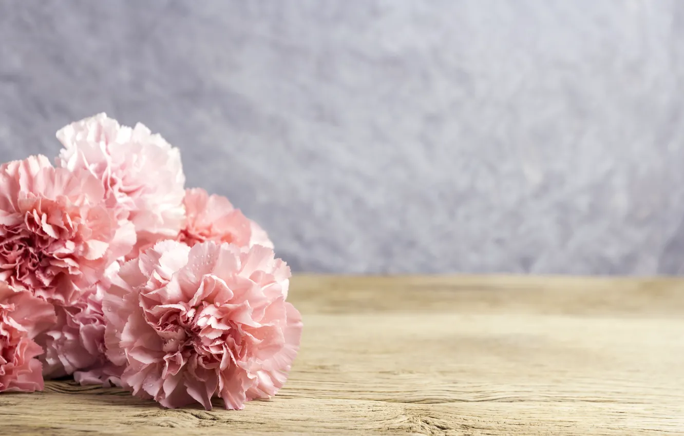 Photo wallpaper flowers, petals, pink, wood, pink, flowers, beautiful, clove