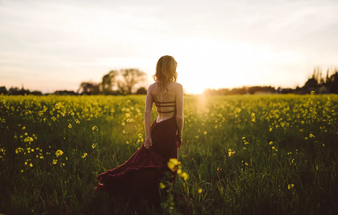Photo wallpaper field, summer, girl, flowers, nature, back, dress, cherry