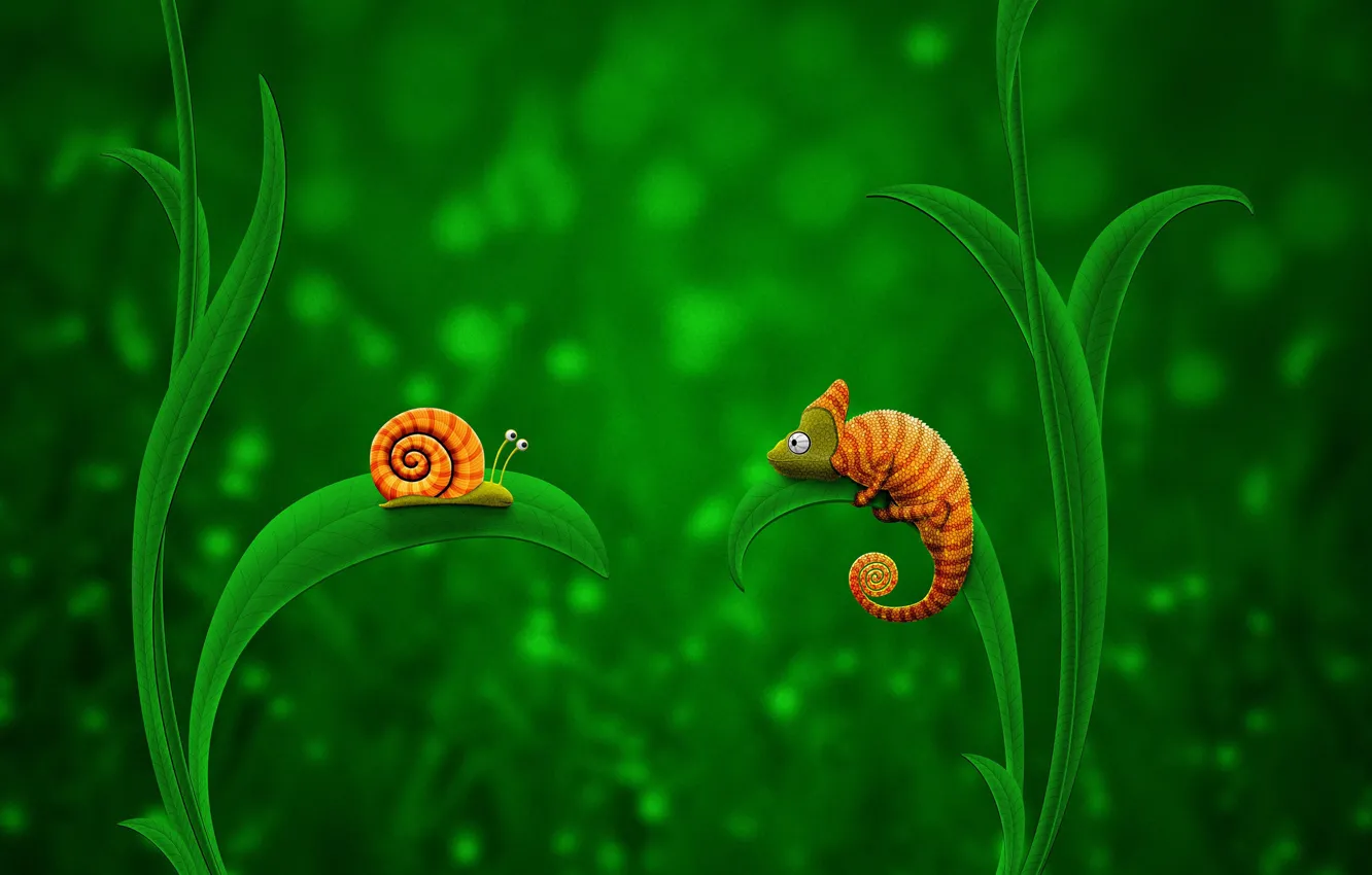 Photo wallpaper chameleon, snail, disguise, Snail and Chameleon