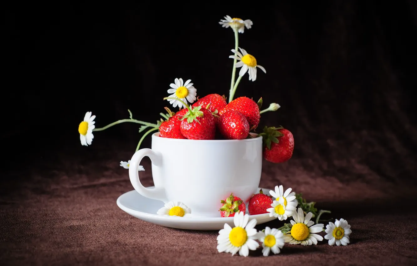 Photo wallpaper flowers, berries, the dark background, chamomile, strawberry, mug, Cup, fabric